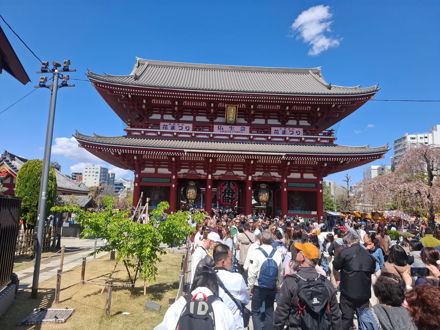Sightseeing Tag