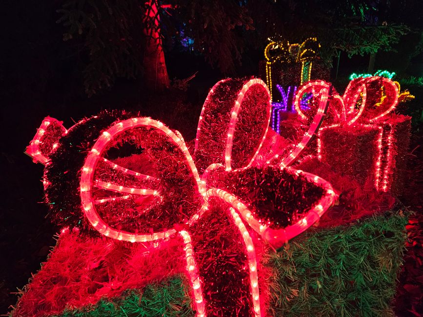 Christmas Garden