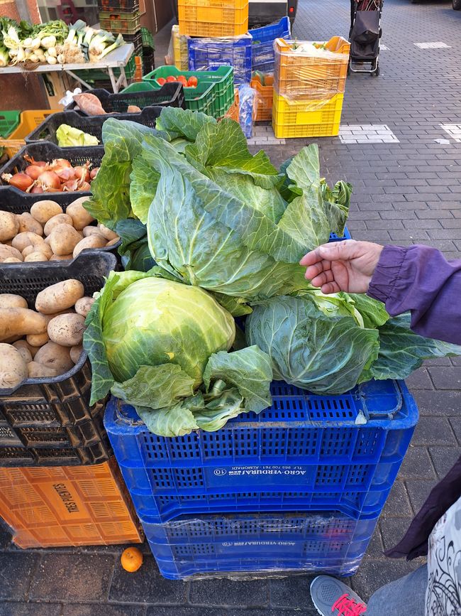 Frutta e verdura fresche