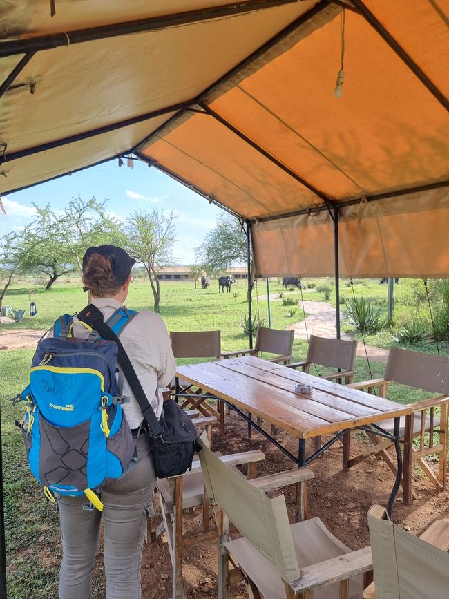 Tansania - Tag 6: Serengeti Nationalpark