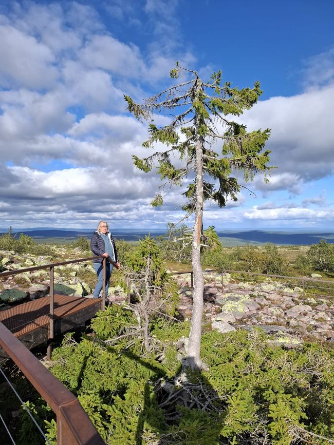 Villa Fregn - Huskyfarm - Fulufjällets NP - Mora