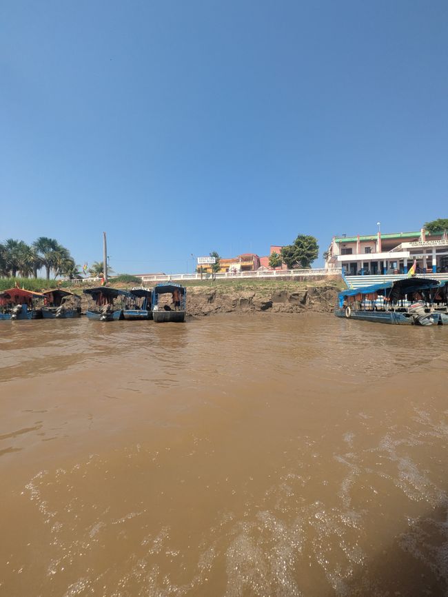 Noch mehr Bilder... Paranuss und der Weg nach Brasilien