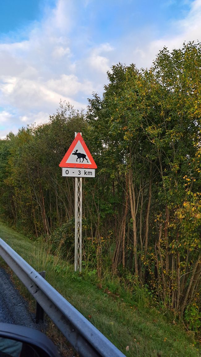 Die fehlen uns noch