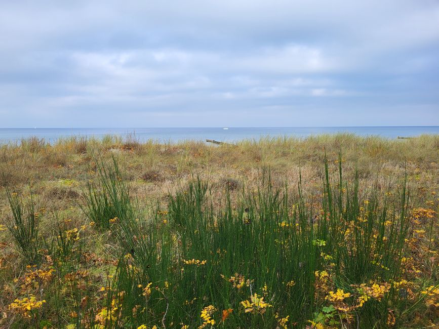 Paseo marítimo de Kühlungsborn 