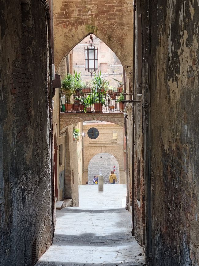 Siena