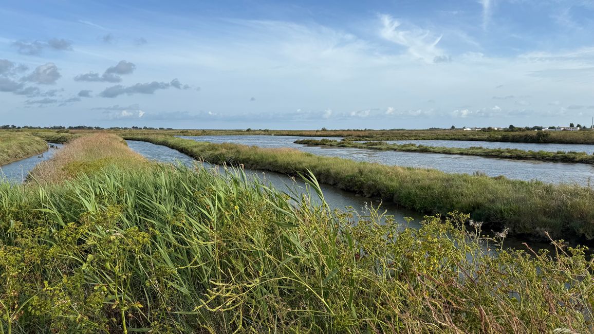 En la Isla de Ré