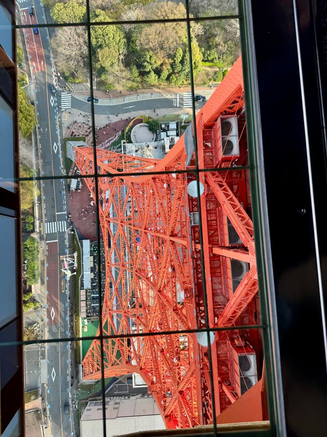 Parte 7
BENVENUTO IN GIAPPONE 🇯🇵
TOKYO