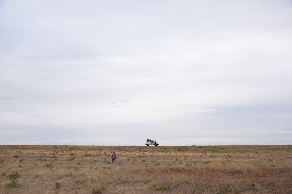 Steppe