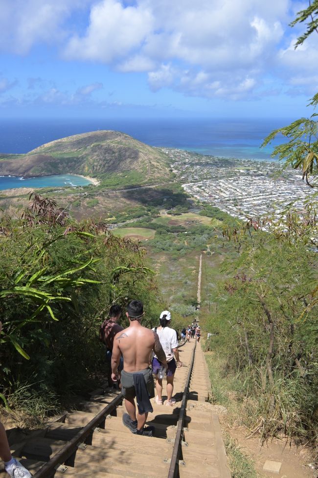 Honolulu - Sentier des chutes de Manoa