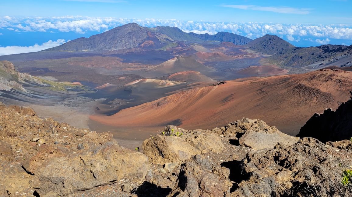 Aloha Maui – Nicht nur ein Surferparadies