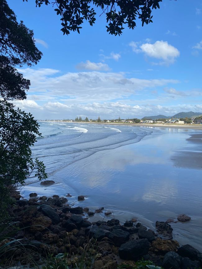 Coromandel loop