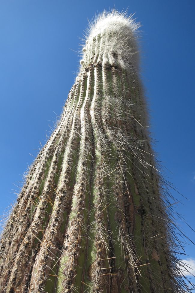 Southeast of Salta