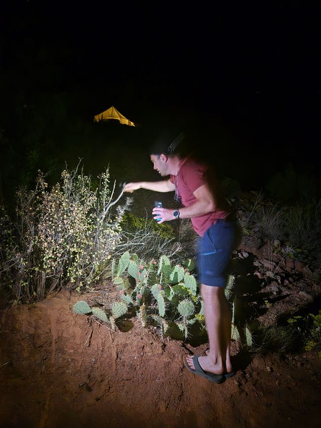 01.10. Cañón Antílope y llegada al Glamping de Zion