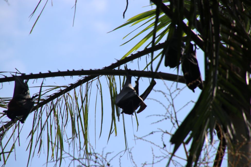 Day 27: On the road in Litchfield National Park