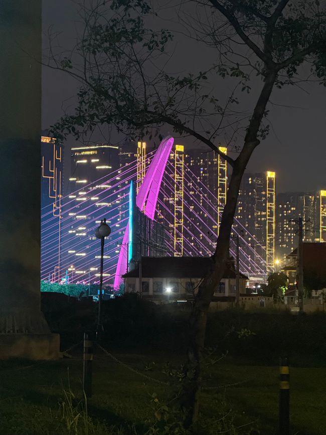 Oplyste højhuse langs floden