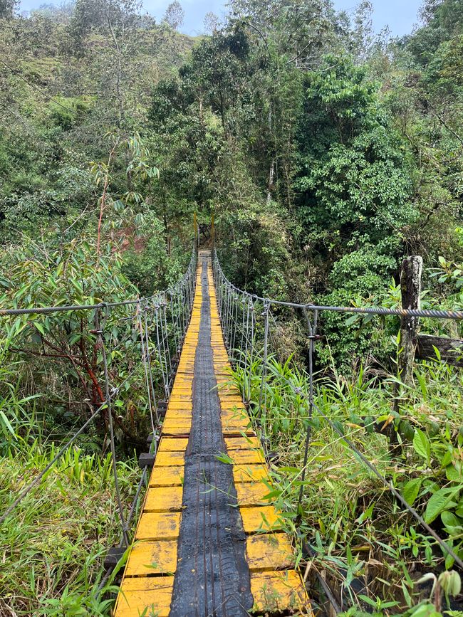 Adiós Costa Rica, a luego!