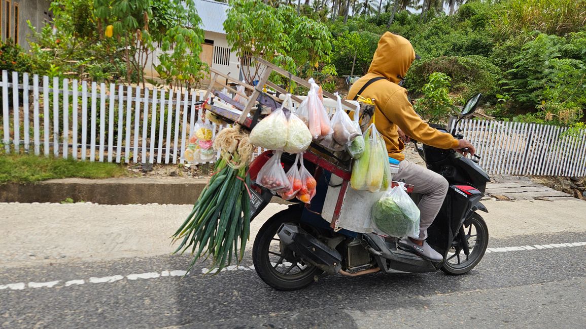 From Pulau Kadidiri to Tomohon