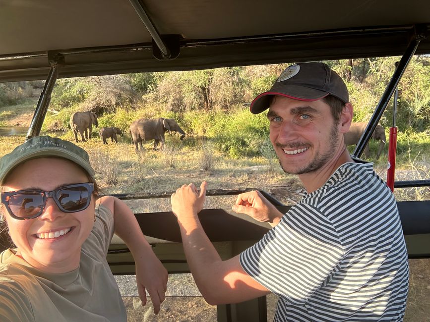 Leoni, elefanti, giraffe e compagnia nel Samburu