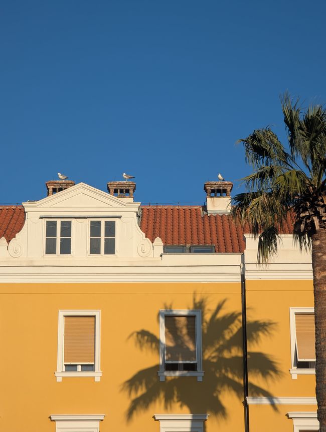 Split