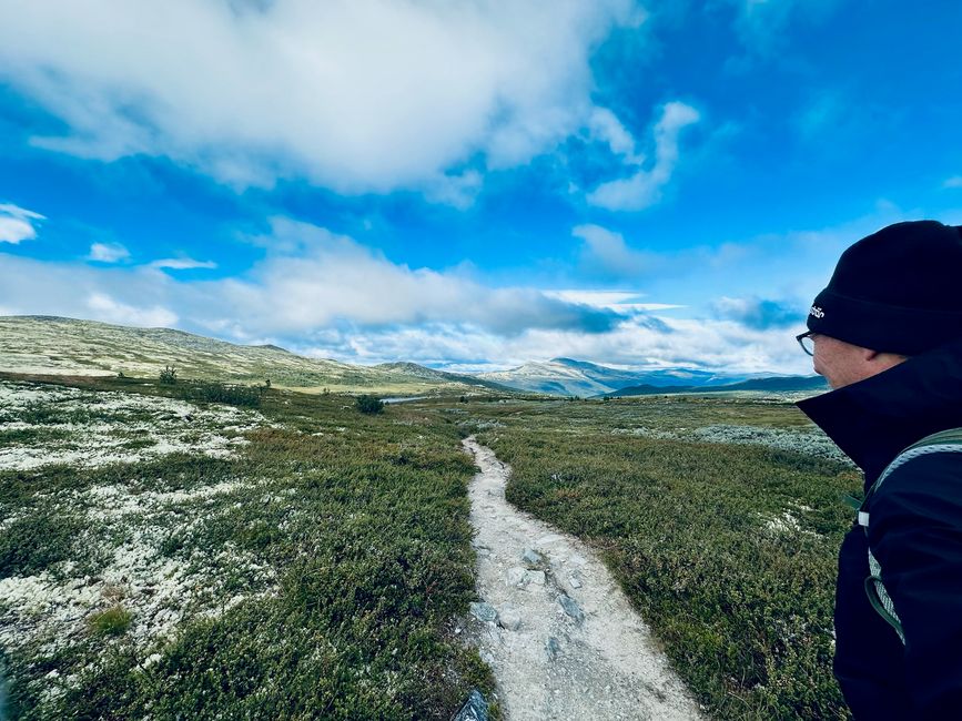 Promenade avec une brise légère - Impressions de Høvringen