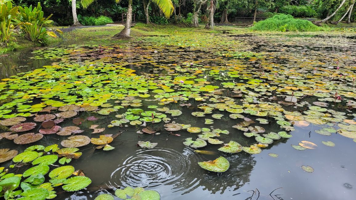 Tour around the edge of Tahiti-Nui