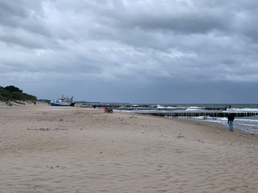 Regen, immer wieder Regen