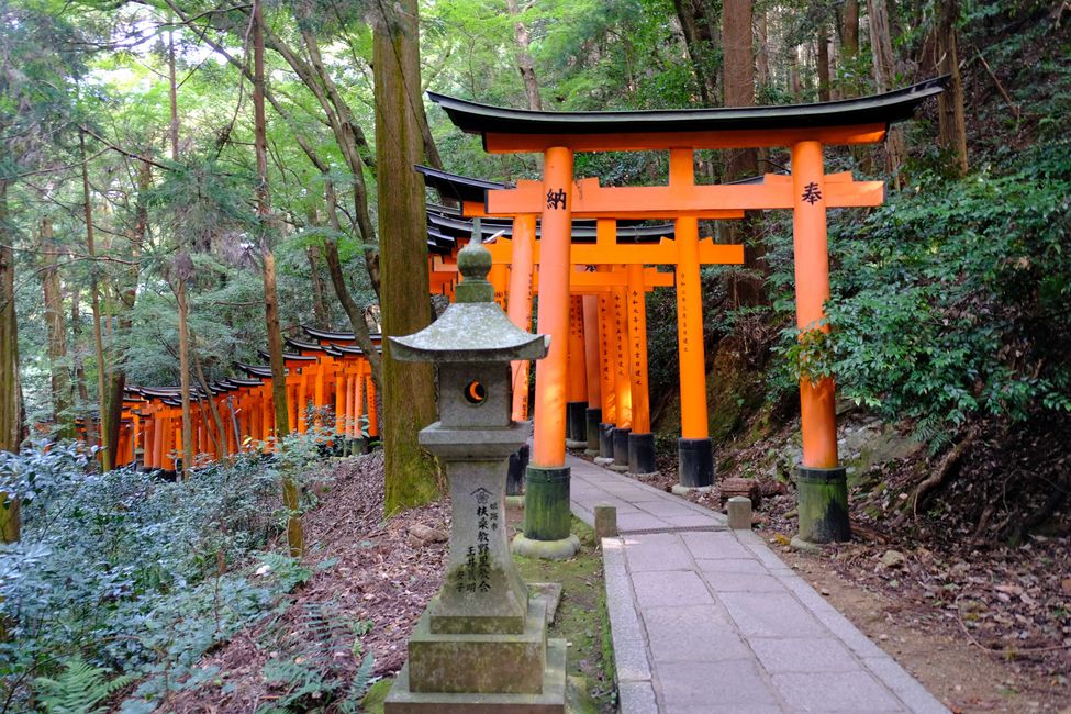 Bei Kyoto-Touristen ist der lange Spazierweg mit den tausenden orangefarbenen Toren sehr beliebt (wo die grösste Challenge darin besteht, ein Foto ohne Menschen zu schiessen).