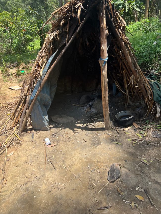 Von Entebbe nach Kisoro