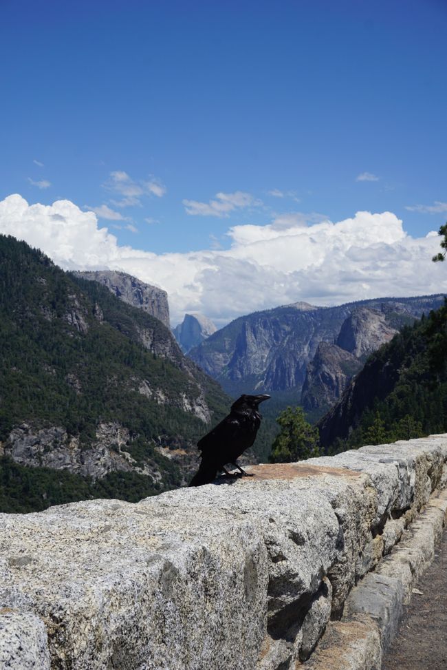 Tag 8 - Der Wilde Westen