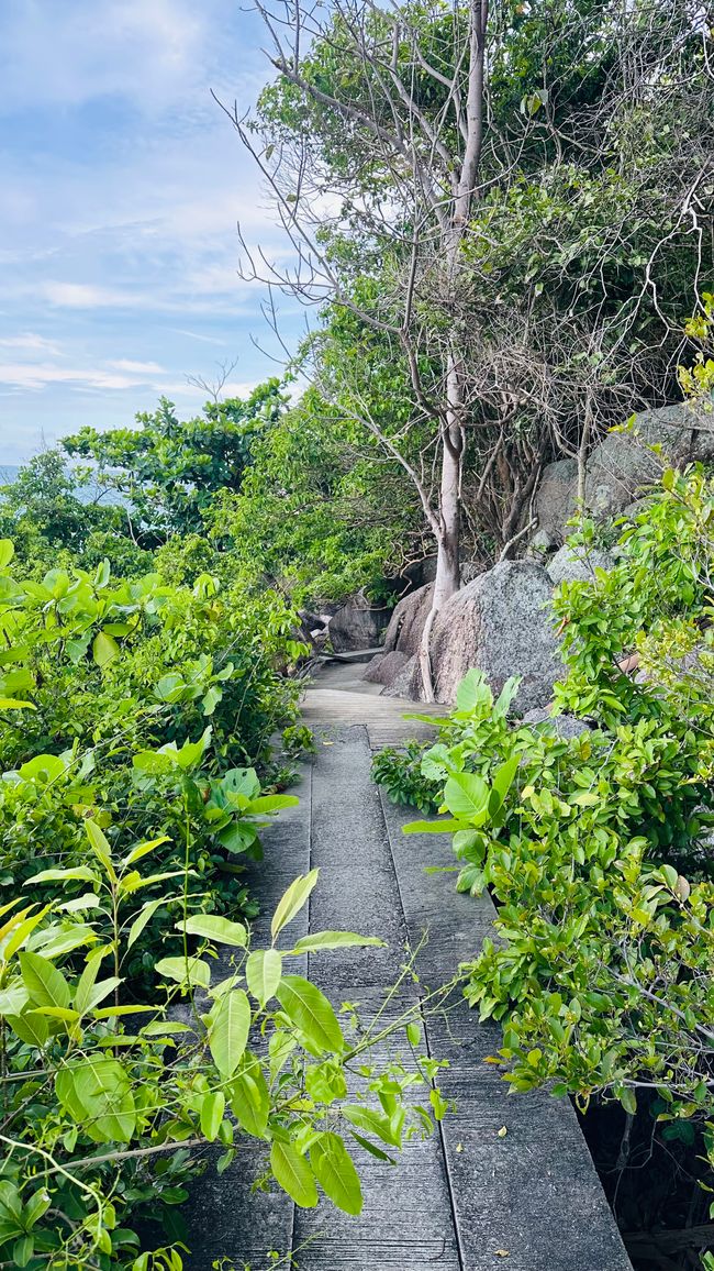 Rundweg Koh Tao