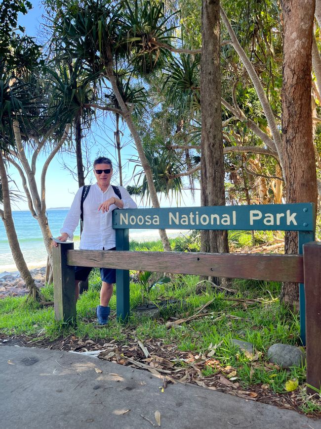Noosa: Hiking Trails, Encounters & a Monitor Lizard Blocking My Path