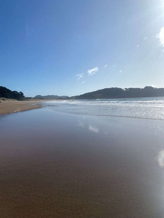 Coromandel loop