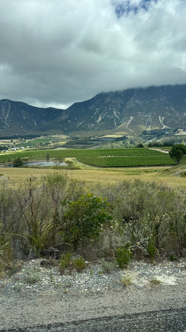 Ausblick vom Weingut