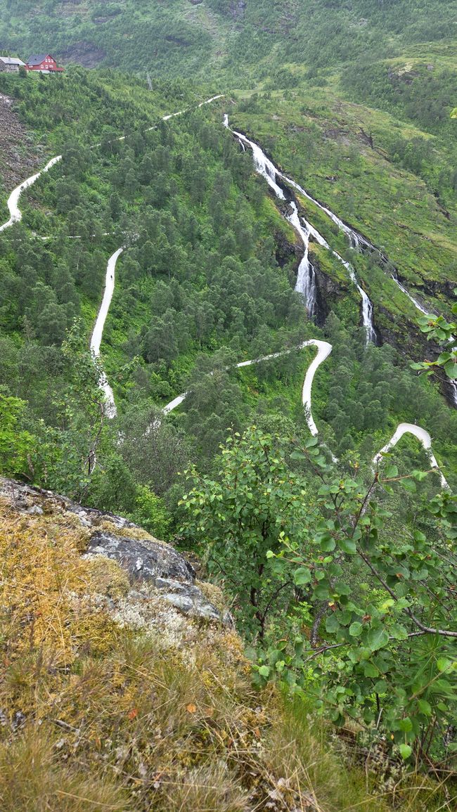 Rallarvegen Etappe 2 Finse - Flam