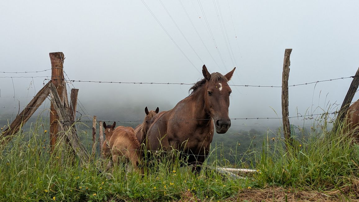 2. Etapa Camino del Norte - de Getxo a Castro Urdiales