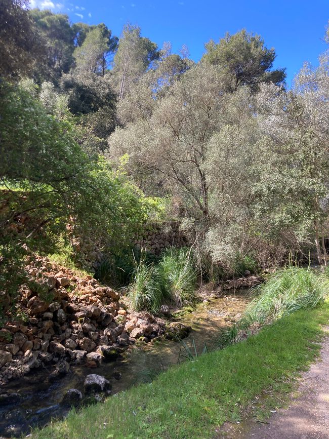 Wandern… von Santa Maria aus zum Tramuntana Gebirge…soweit meine Füße mich tragen