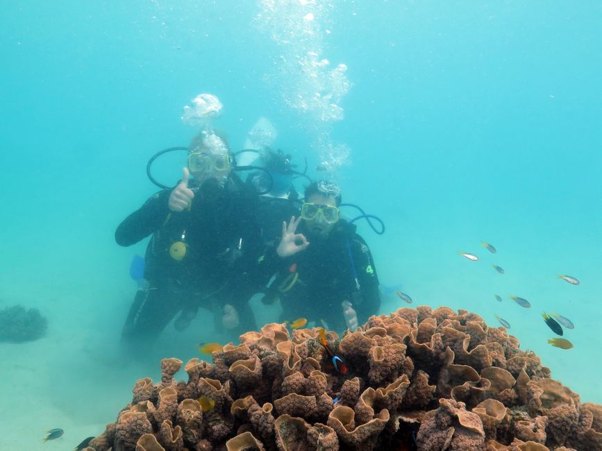 Great Barrier Reef