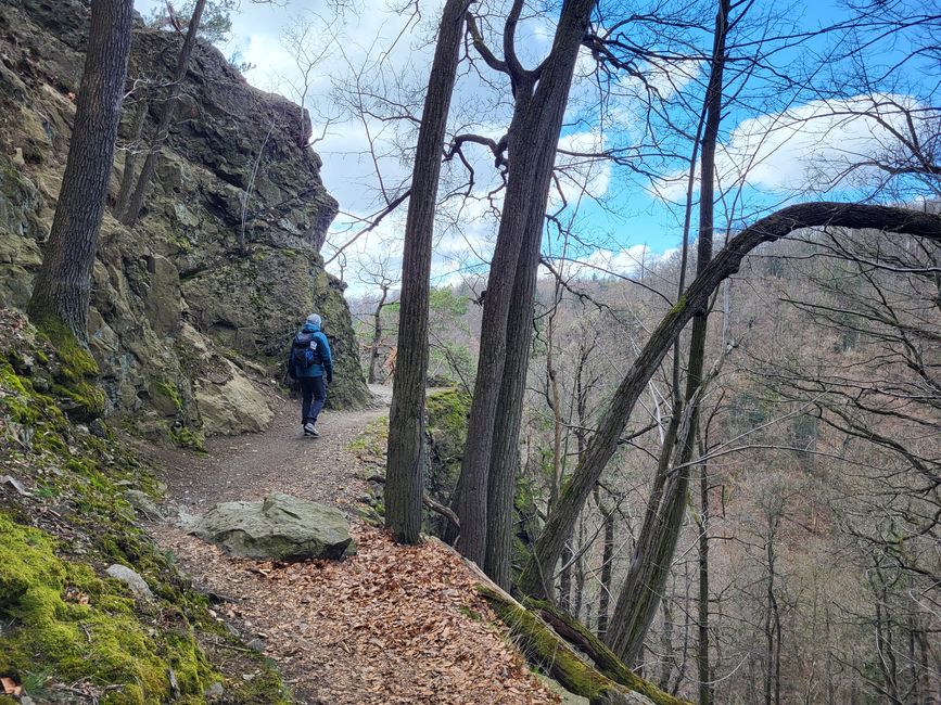 Wanderung zum Palmenhaus