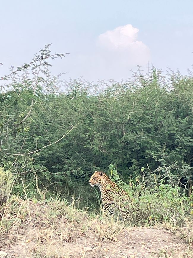 Queen Elizabeth Nationalpark