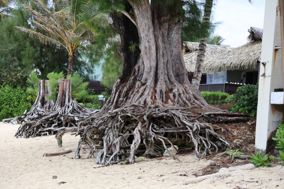 Addio a Rarotonga
