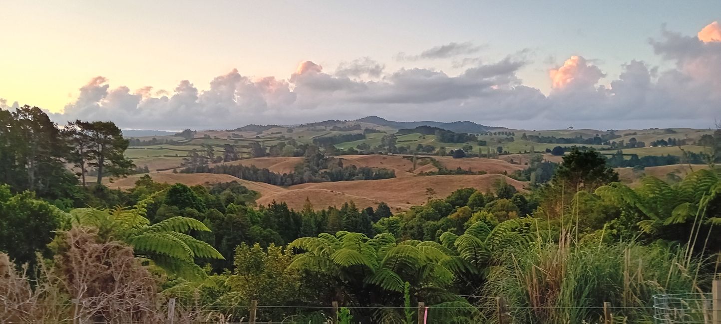 Tauranga