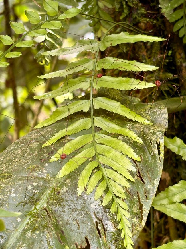 Unterwegs in Costa Rica