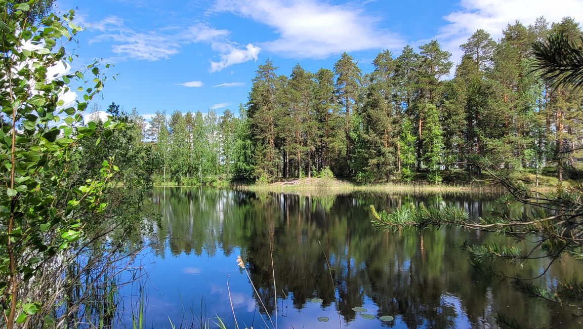 Finlandia 31 de mayo - 14 de junio de 2024 / 8 de junio