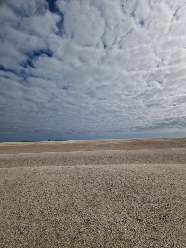 Shell Beach, shells as far as the eye can see!