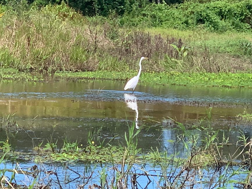 Trinidad (Chuchini Reservat)