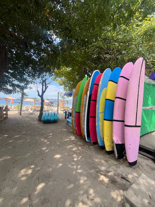 Surf paradise 