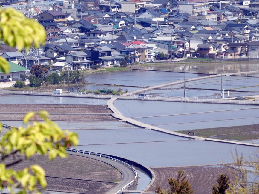 Aussicht vom Makino Botanical Garden, Reisfelder zwischen der Stadt und Autostrassen
