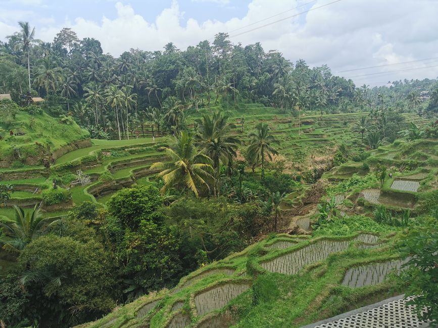 Templo Tirta Empul