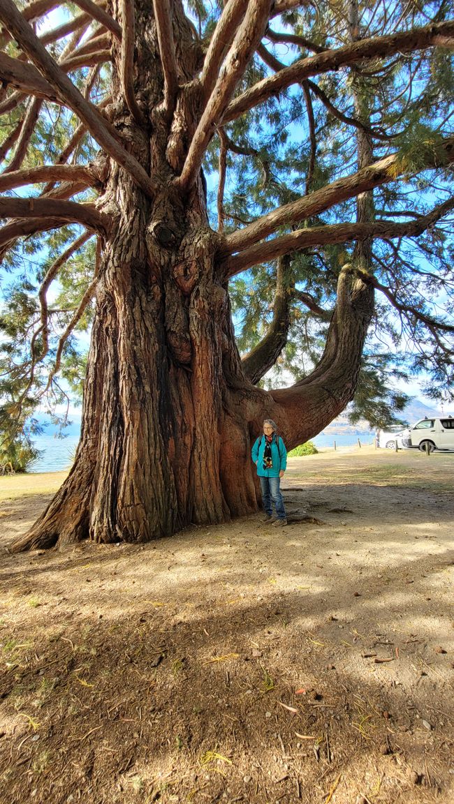 29.Januar-27.Februar 2025 Neuseeland
11. Februar