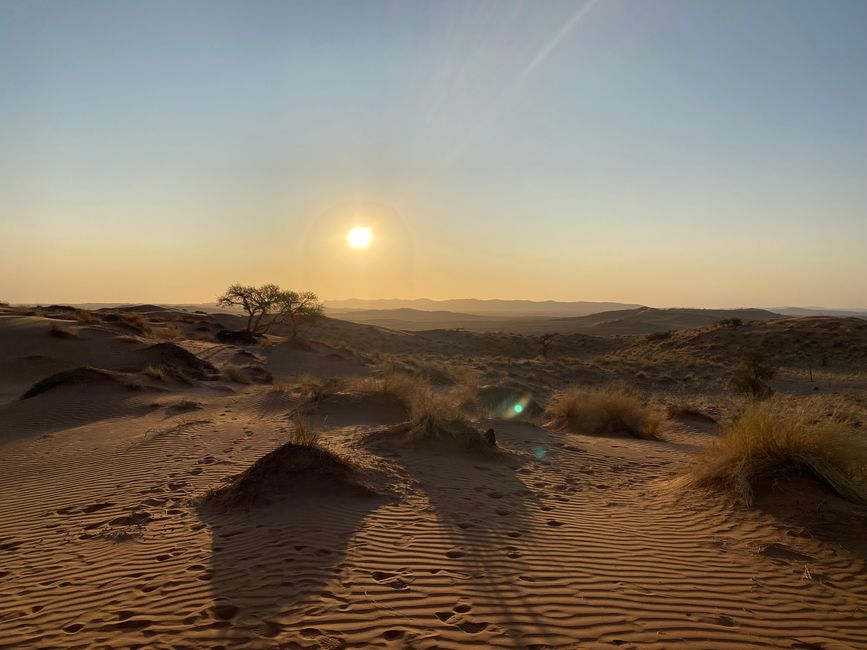 Desierto de Namibia 🏜️